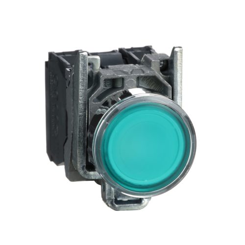 LED Illuminated Pushbutton – XB4BW33G5